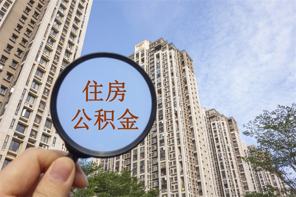 南安深圳公积金（深圳公积金首页）